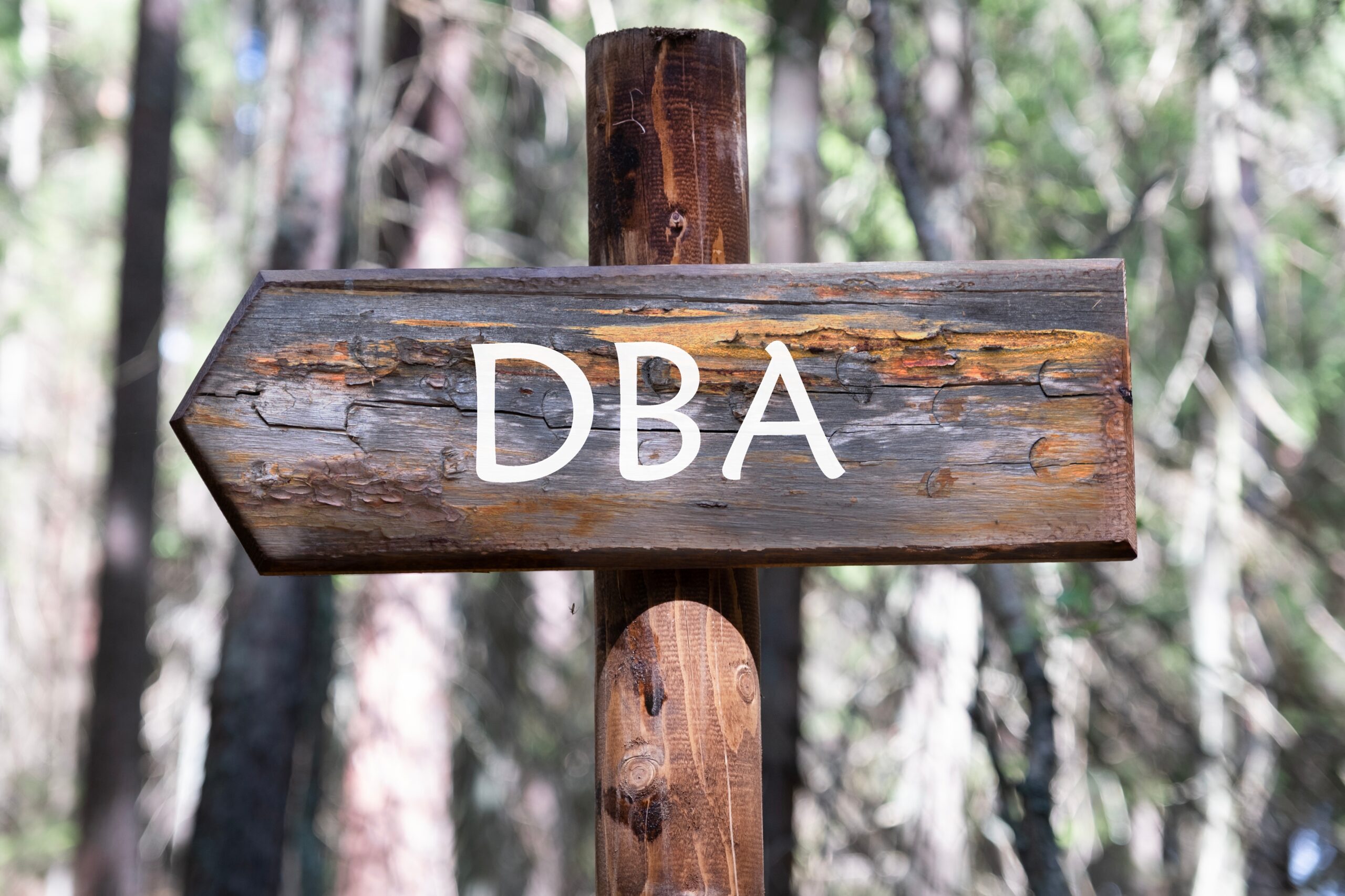 De Wet DBA per 1 januari 2025